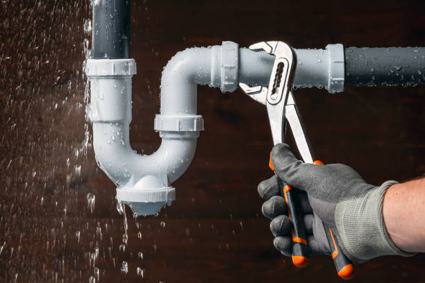 Professional Plumbing technician working in Malone, FL